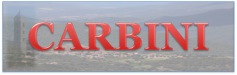 Carbini vous souhaite la bienvenue.